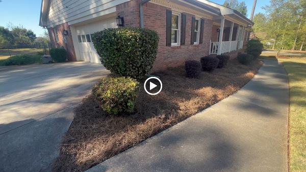 Red Byrd Junk Removal & Landscaping