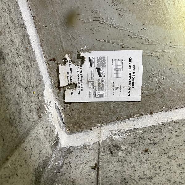 Envirocare Pest Control