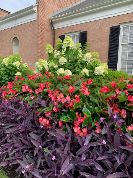 Columbus In Color Landscape Group
