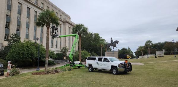First Choice Tree Care