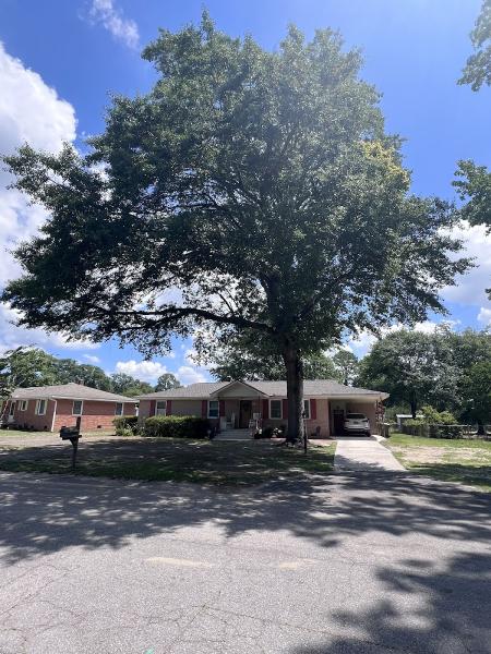 First Choice Tree Care