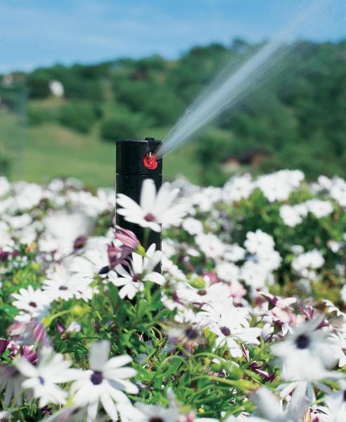 Environmental Designers Irrigation