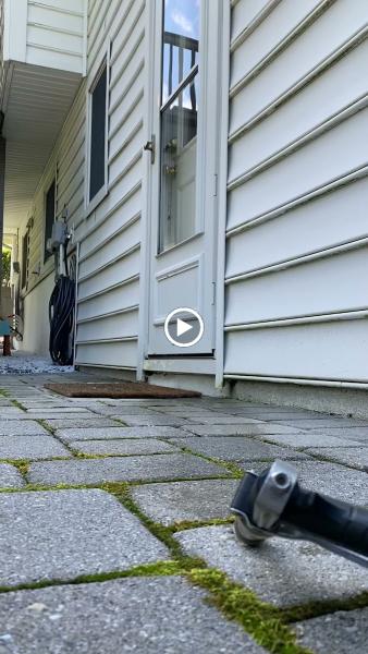 Mrs. Bzzz Pest & Termite Solutions