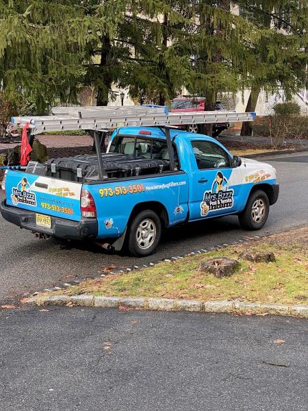 Mrs. Bzzz Pest & Termite Solutions