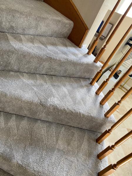 Eco-Dry Carpet & Upholstery Care