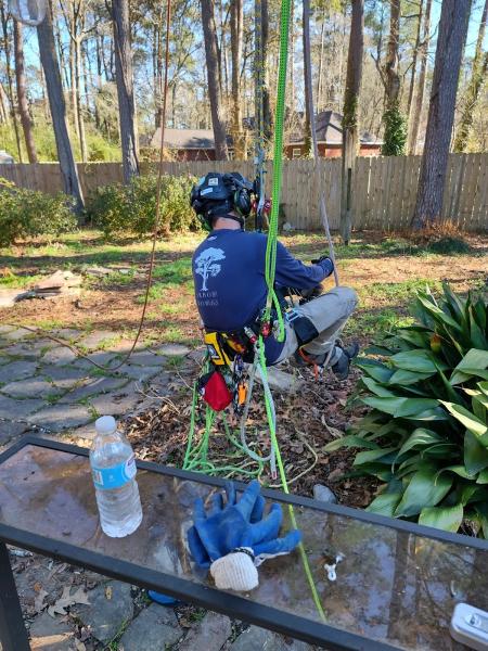 Arborworks