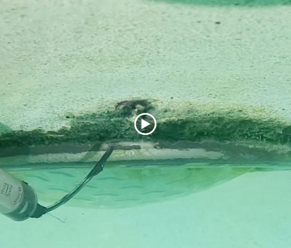 A-1 Leak Detection