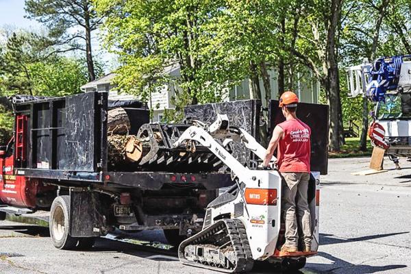 Complete Tree Care Inc.