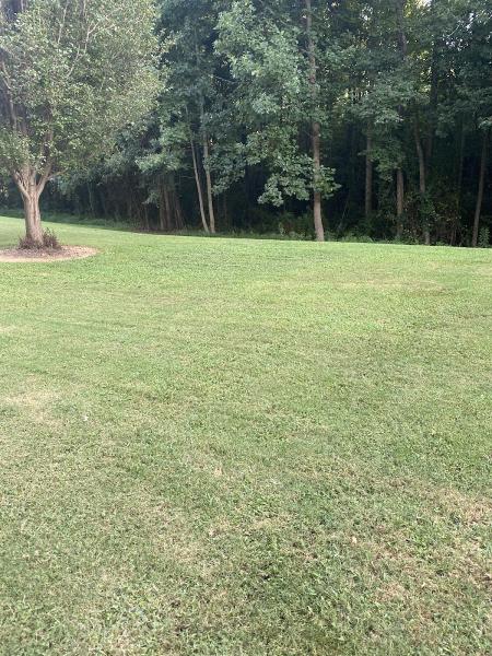 Grass Barber Lawn Management
