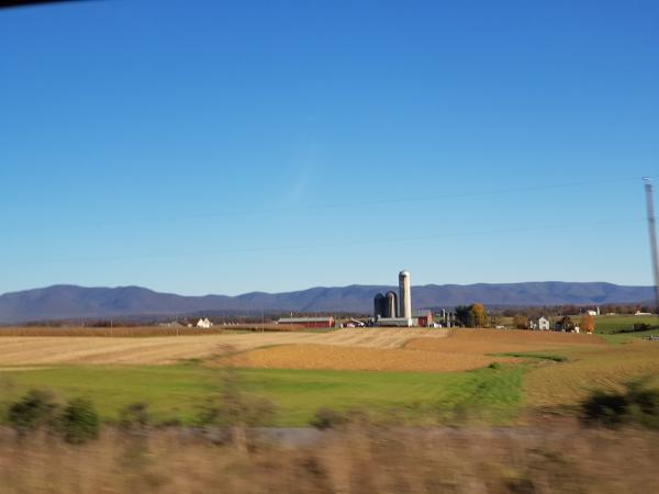 Shenandoah Nurseries