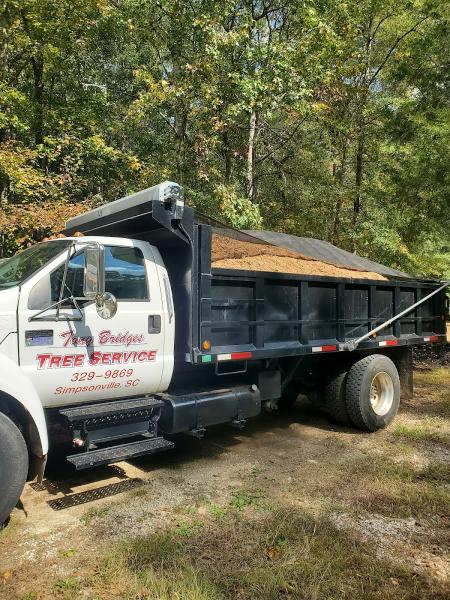 Tony Bridges Tree Service