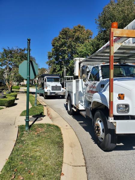 Tony Bridges Tree Service