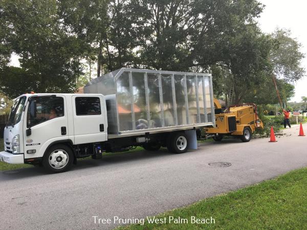 Professional Tree Trimmers LLC