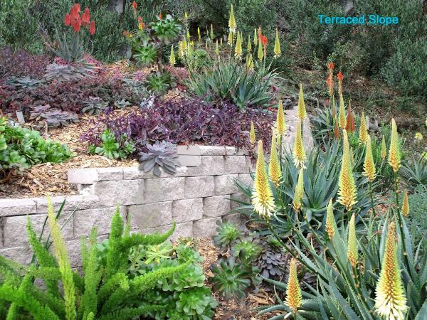 Actual Art Landscape Design