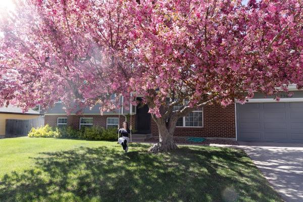 Preservation Tree Care Inc