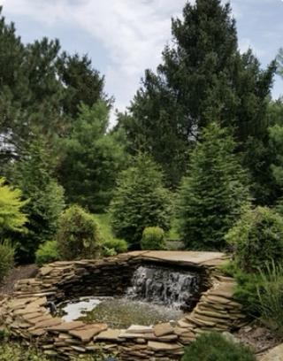 Aqua Pro Irrigation and Landscaping