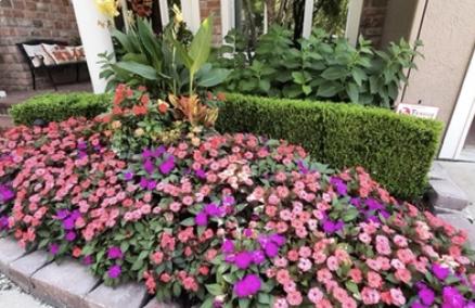 Aqua Pro Irrigation and Landscaping