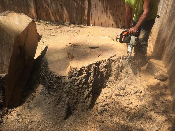 Tree Works