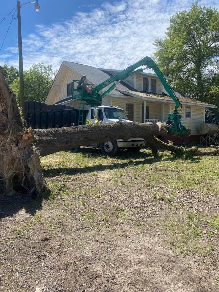 Tree Works