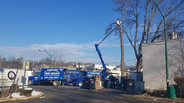 O'Brother Tree Service LLC