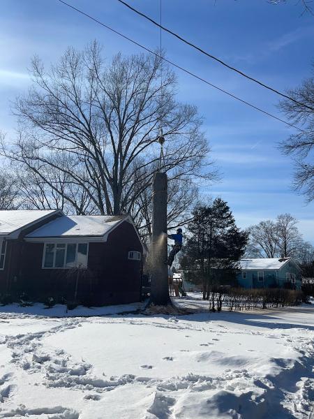 O'Brother Tree Service LLC