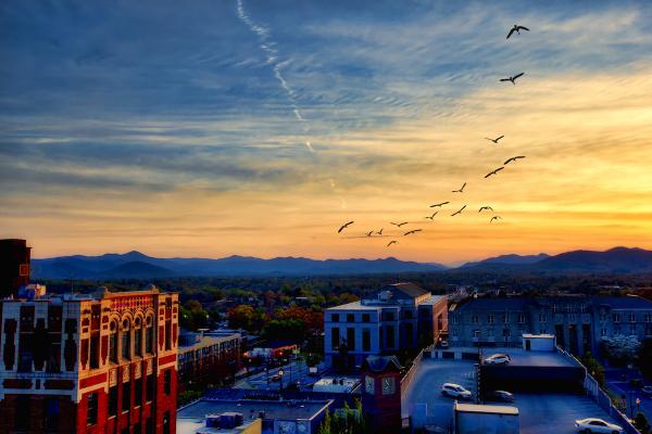 Town and Mountain Realty