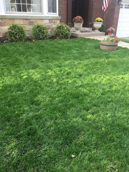 JD Flores Landscaping INC