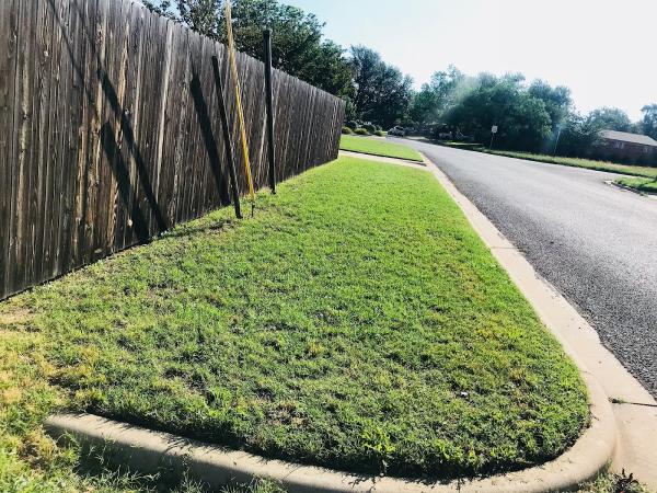 Mike's Mowing