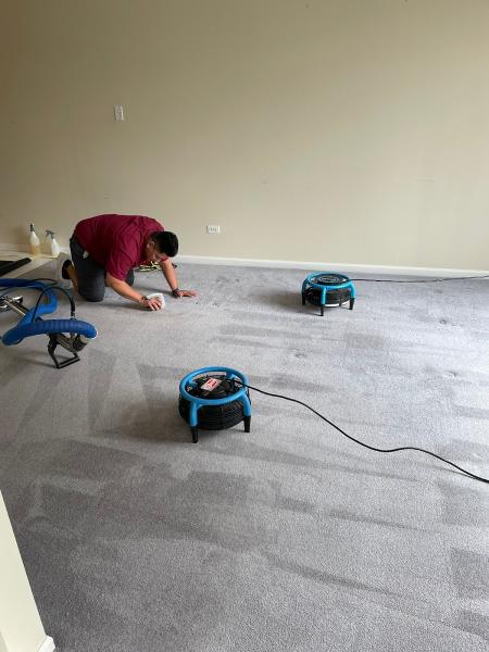 Carpet Wiser Carpet Cleaning