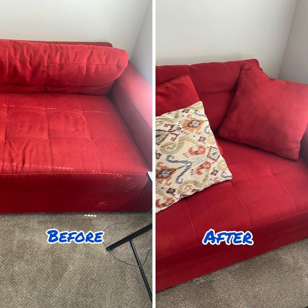 Blue Hornet Carpet Cleaning