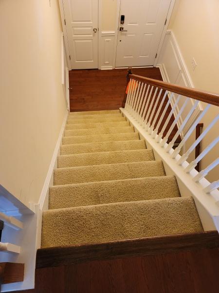 Blue Hornet Carpet Cleaning