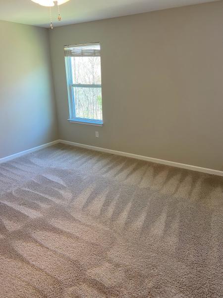 Blue Hornet Carpet Cleaning