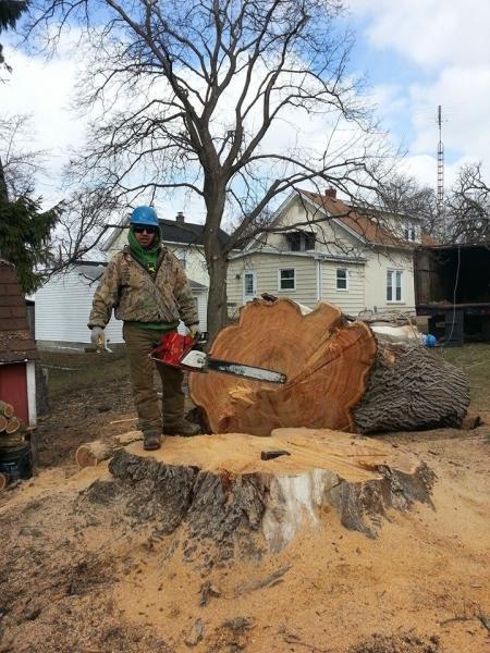Manny's Tree Service and Landscaping