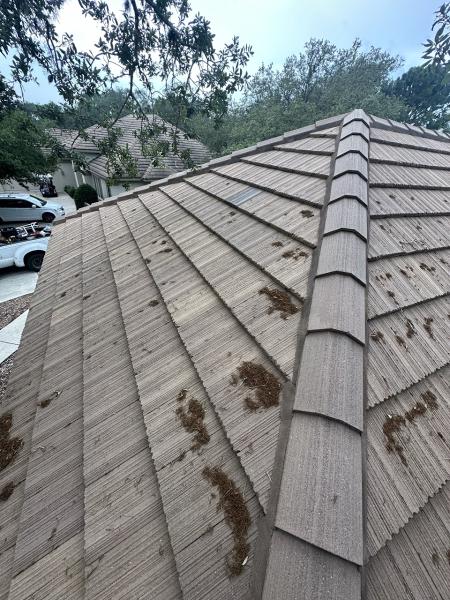 Avatar Roofing