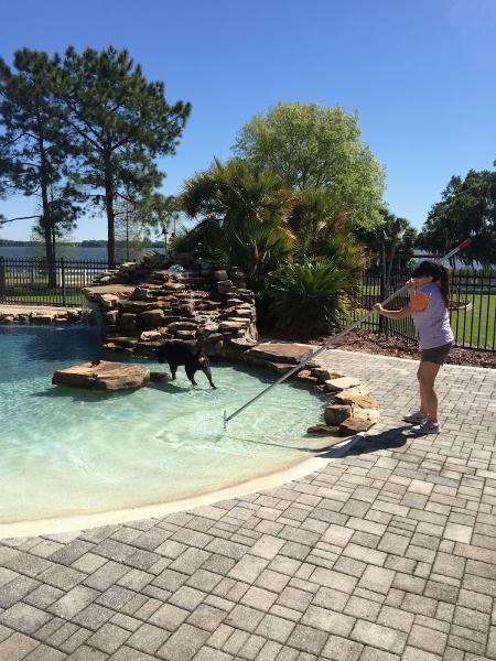 Echo Pool Services