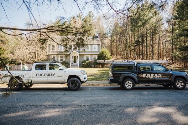Bug Bully Rodent & Pest Control