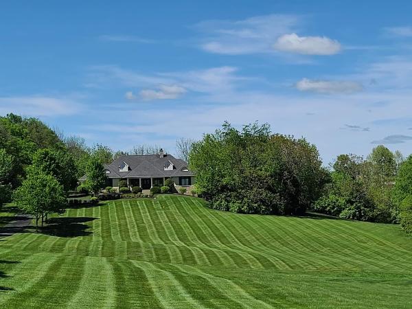 Versailles Lawn Care