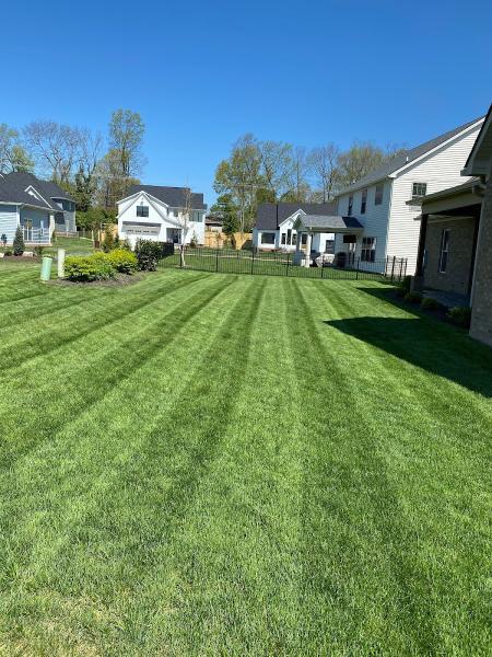Versailles Lawn Care