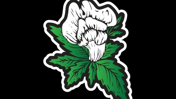 Snapdragon Hemp