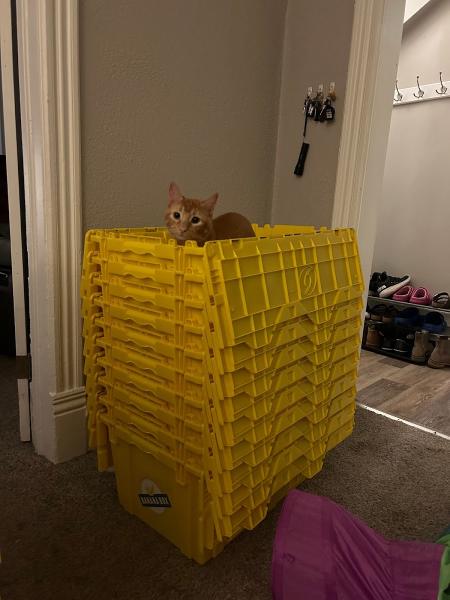 Banana Box