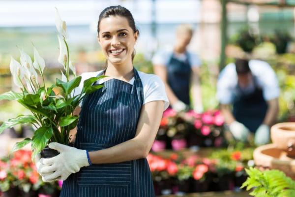 DNS Landscaping
