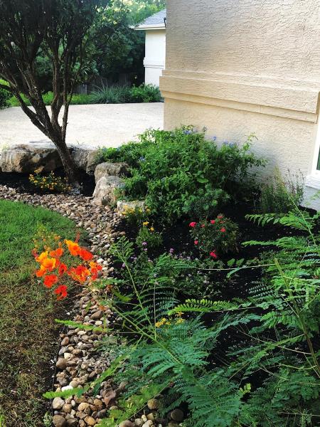 DNS Landscaping