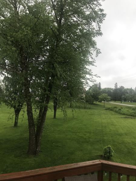 Stealth Mowed