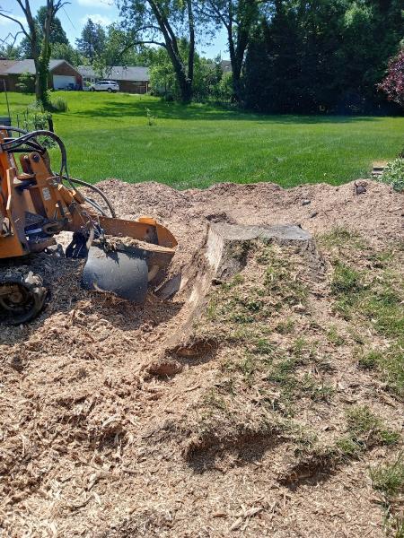 Dad's Son Tree Service LLC