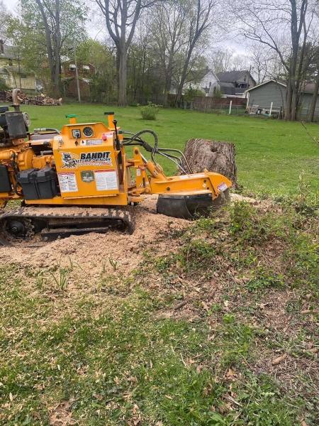 Dad's Son Tree Service LLC