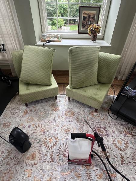 The Real Carpet Cleaners