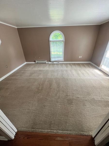 The Real Carpet Cleaners