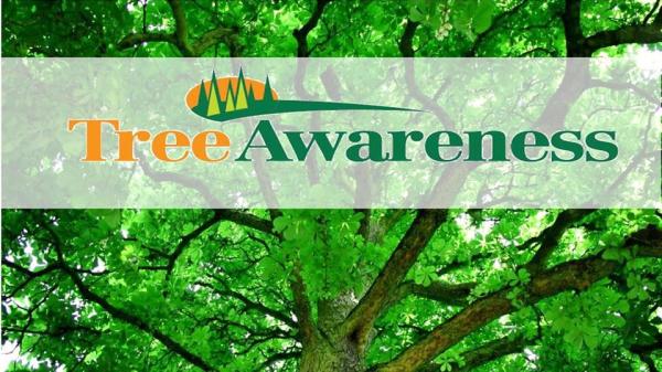 Tree Awareness Inc.