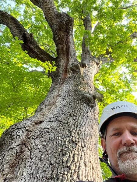 Tree Awareness Inc.