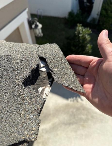 Vet Check Property Inspections LLC
